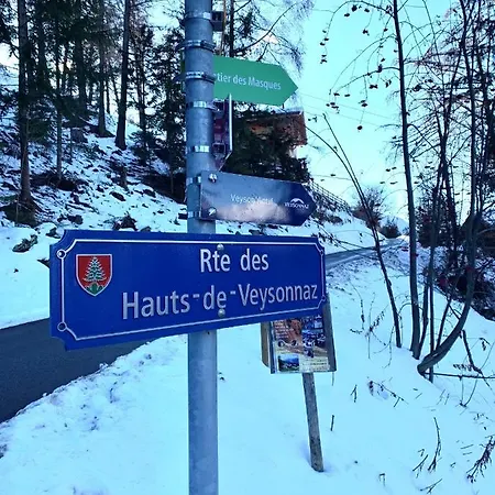 Ski-in, Ski-out 4, Daire Veysonnaz