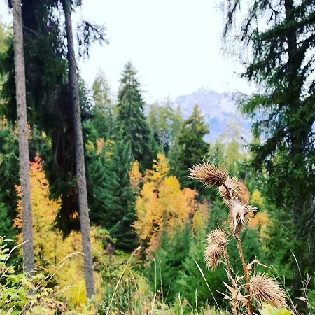 Daire Ski-in, Ski-out 4, *