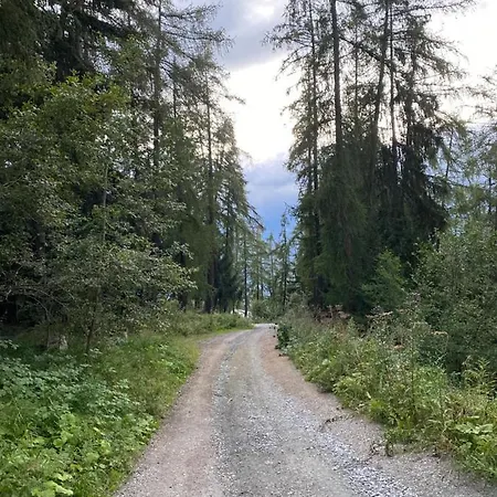 Ski-in, Ski-out 4, Daire Veysonnaz