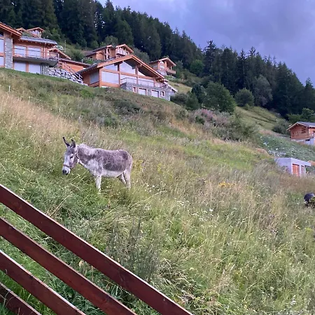 Ski-in, Ski-out 4, Veysonnaz