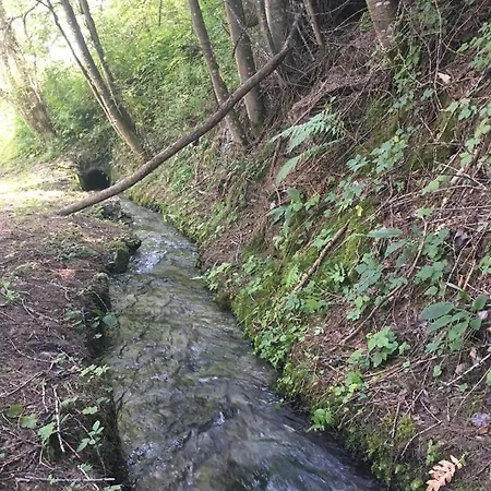 Daire Ski-in, Ski-out 4,