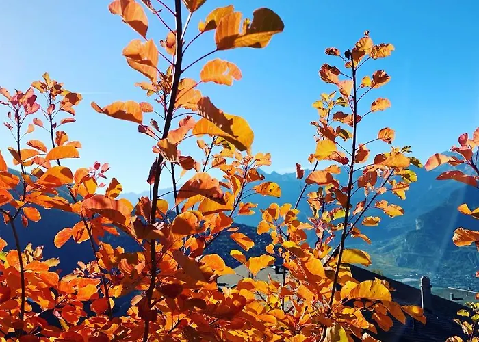 Ski-in, Ski-out 4, Appartement