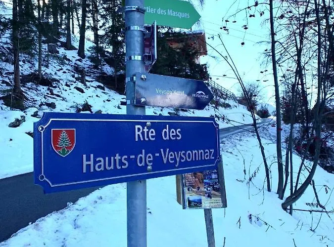 Ski-in, Ski-out 4, Lejlighed Veysonnaz