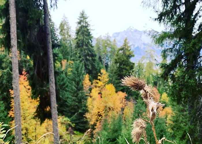 Appartement Ski-in, Ski-out 4, *