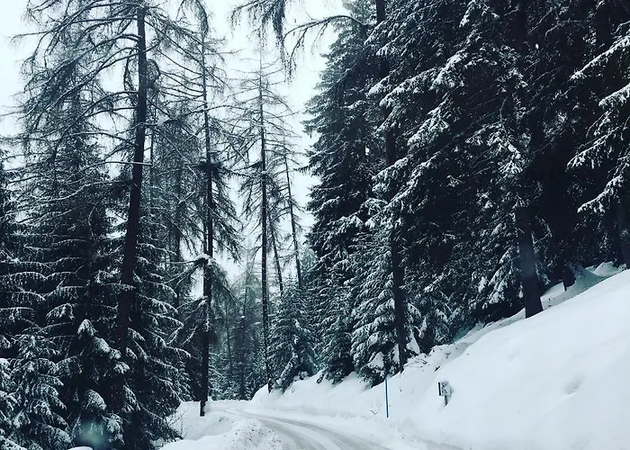 Ski-in, Ski-out 4, Appartement *