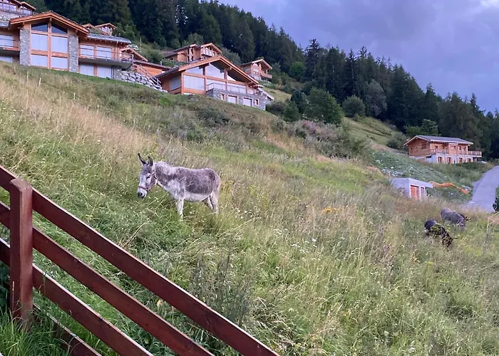 Ski-in, Ski-out 4, Veysonnaz