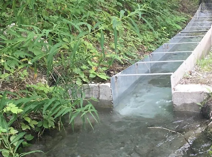 Appartement Ski-in, Ski-out 4, Veysonnaz