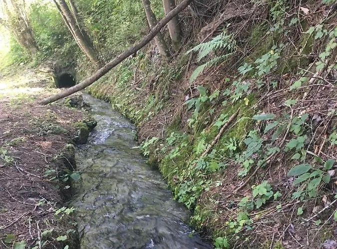 Appartement Ski-in, Ski-out 4,