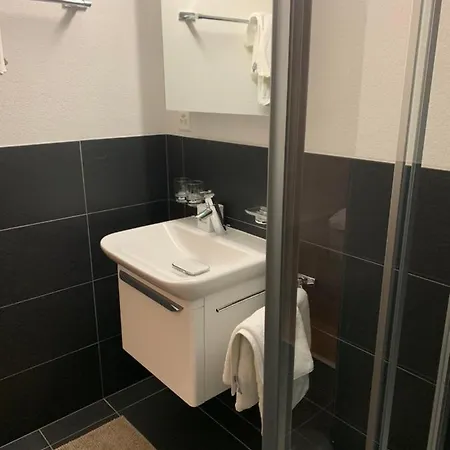 Ski-in, Ski-out 4, * Veysonnaz