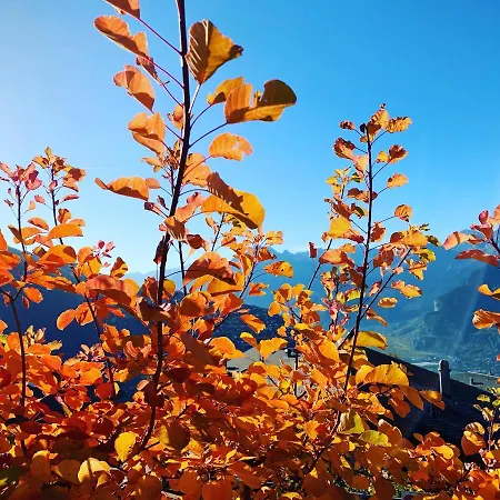 Ski-in, Ski-out 4, Appartement