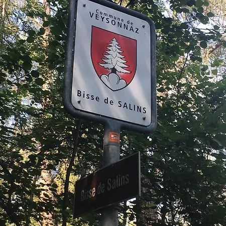 Ski-in, Ski-out 4, *